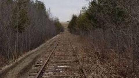 Speedsville Railway photo 2