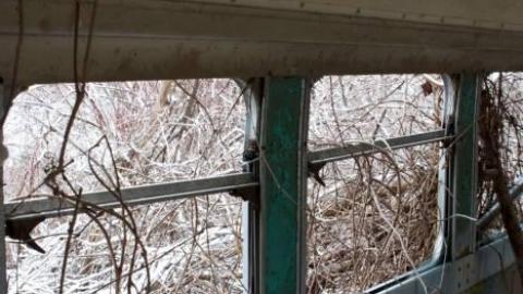 Photo from March 2019