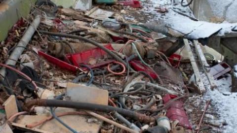 March 2019 - IMG_5672.jpg