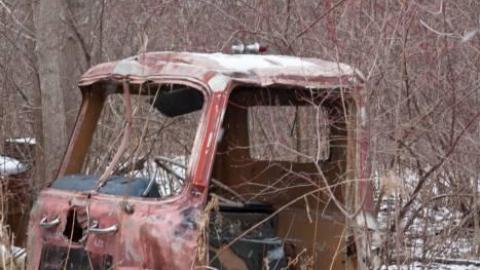 March 2019 - IMG_5692.jpg