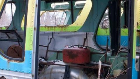 March 2019 - IMG_5724.jpg