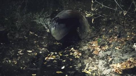 Extra Shots - victoria-woods-drain1.jpg