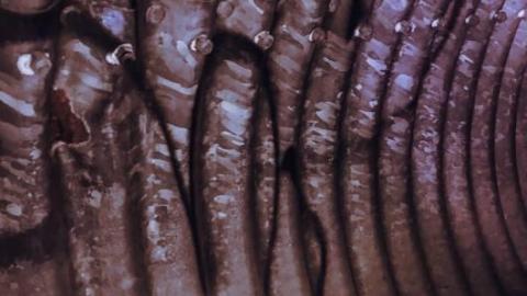 Extra Shots - victoria-woods-drain9.jpg