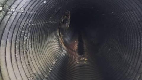 Extra Shots - victoria-woods-drain3.jpg