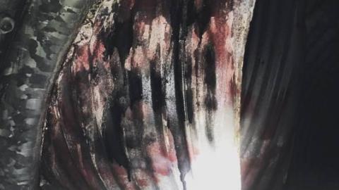 Extra Shots - victoria-woods-drain10.jpg