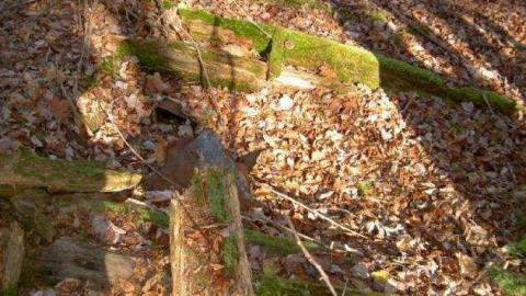 Monsell again - Monsell-(Orma-Jones-Tragedy)79.jpg