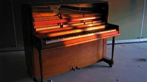 Time Heards No Sheep - F.M.-Heard82.jpg