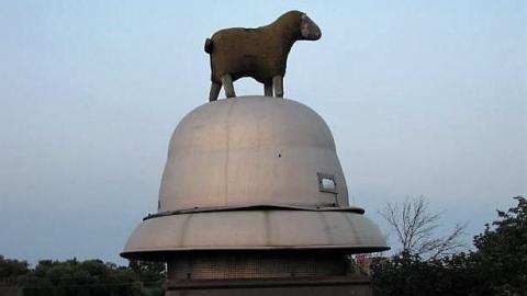 Time Heards No Sheep - F.M.-Heard87.jpg