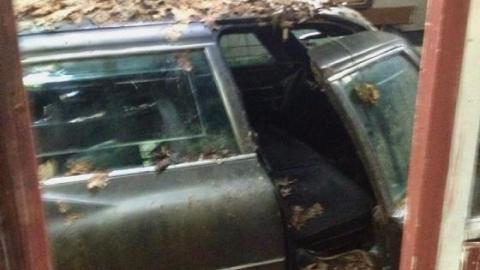 Summer 2013 - Norm-Elder-Cottage76.jpg