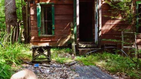 Photo from Summer 2013