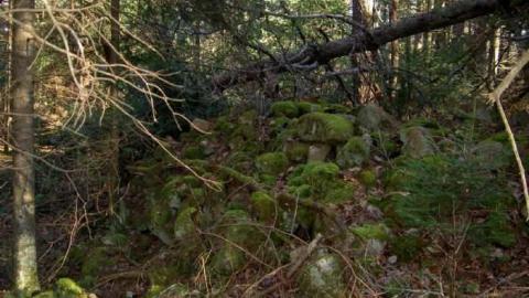 Monsell (Orma Jones Tragedy) cover photo