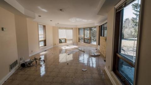 Spoiled - _DSC7187-HDR.jpg