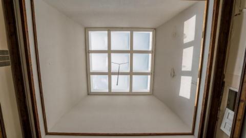 Spoiled - _DSC7198.jpg