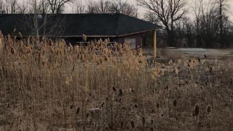 March 2019 - IMG_4804.jpg