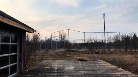 March 2019 - IMG_4806.jpg