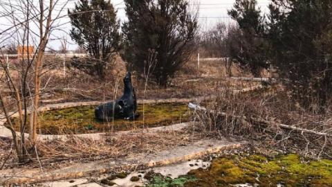 March 2019 - IMG_4820 (1).jpg