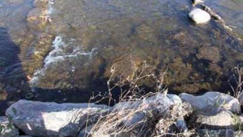 Hyde Mill - Hyde-Mill-Ruins-(Streetsville)88.jpg