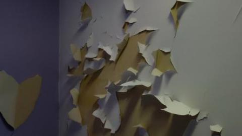 Backwards Kenny '18 - DSC04535.jpg