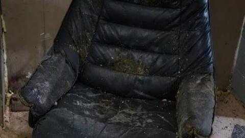 Photo from Backwards Kenny '18