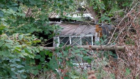 Checking His List '18 - DSC04661.jpg