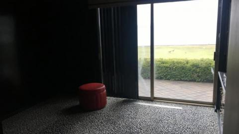 April 14th '19 - IMG_8756.jpg