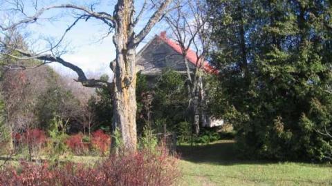 House and Property - Abandoned-or-Not-on-2513.jpg