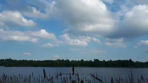 Old Dump / Transfer  site - We-Recycle-Old-Scrap-Yard3.jpg