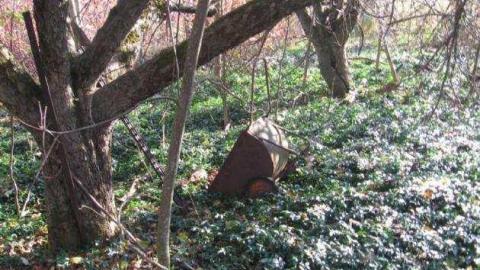 House and Property - Abandoned-or-Not-on-2573.jpg