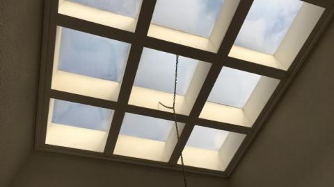 Photo from March 17th 2019