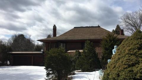 March 17th 2019 - IMG_7537.jpg