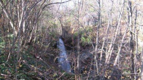 House and Property - Abandoned-or-Not-on-2517.jpg