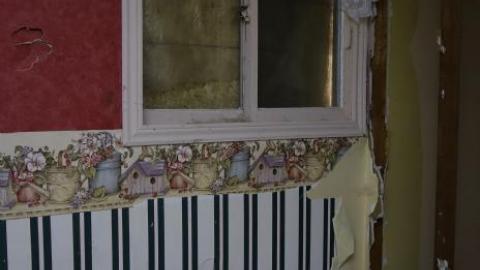 Floral & Diamonds '18 - DSC04680.jpg