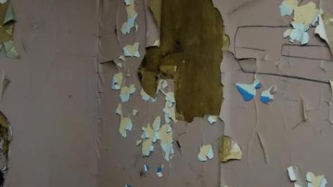 Floral & Diamonds '18 - DSC04691.jpg