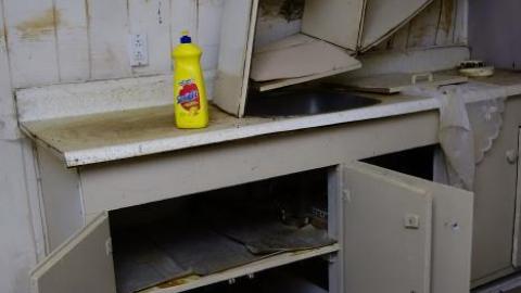 Floral & Diamonds '18 - DSC04695.jpg