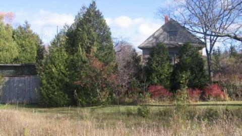 House and Property - Abandoned-or-Not-on-2519.jpg