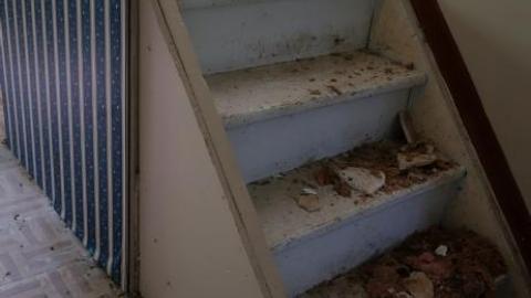 Floral & Diamonds '18 - DSC04739.jpg