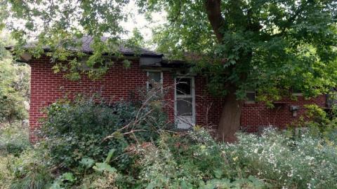 Floral & Diamonds '18 - DSC04754.jpg