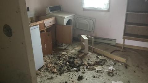 Smells like... Chicken - 9BA8D61B-8D0B-48F2-81C4-7071FE6B6AF8.jpeg