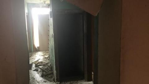 Smells like... Chicken - C635DD8B-F403-4AD5-BA4A-BBC1E541A14E.jpeg