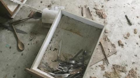 Smells like... Chicken - 7C17555D-56F7-42BE-84D8-F69CDD821B7C.jpeg