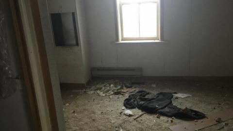 Smells like... Chicken - B3BADD8B-3FF1-446B-A461-AF7879C0A2C8.jpeg