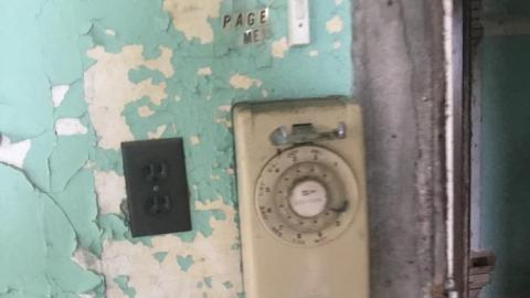 Smells like... Chicken - 768AEAA2-5E2E-46DC-A177-C416AE7C6EA2.jpeg