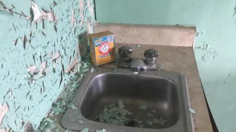 Smells like... Chicken - CDD9B066-DE0A-4747-9BAD-269D997F7A1F.jpeg