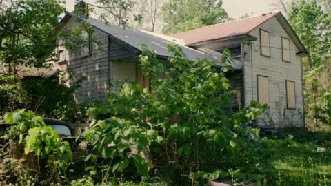 Photo from Summer 2018