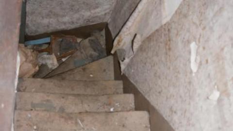 Summer 2018 - 000067370003.jpg