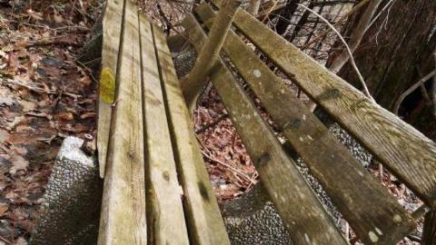 Fading History - CFB-Edgar33.jpg