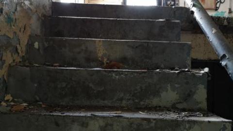 Fading History - CFB-Edgar49.jpg