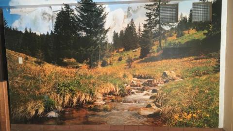 Off the deep end - IMG_6695.jpg