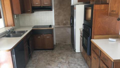 Business In The Front-Party In The Back photo 2