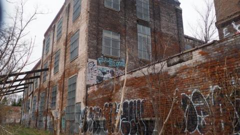 Apr'19 Shooed Away by Security - Linseed-Factory63.jpg